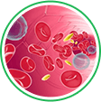 TestoTonic official website